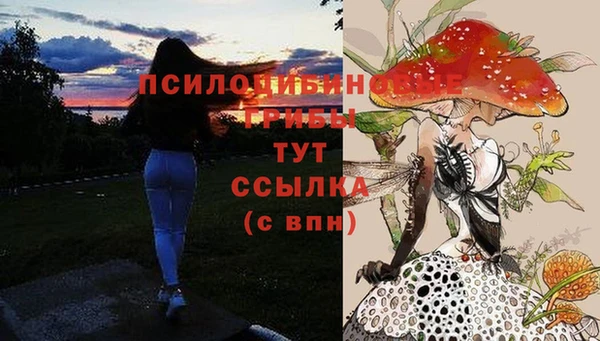 кокс Арсеньев