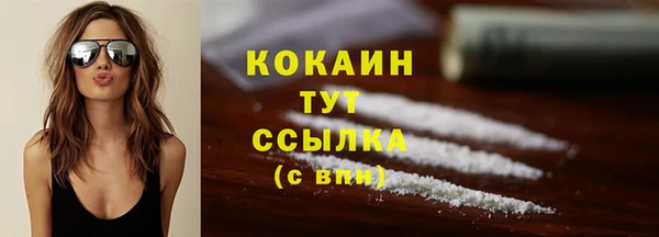 кокс Арсеньев