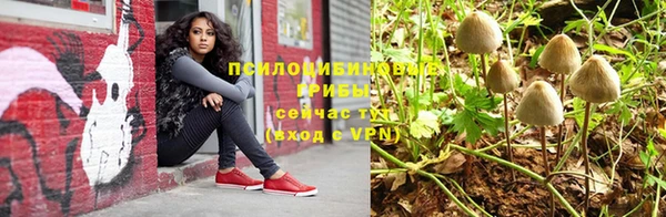 мяу мяу мука Армянск