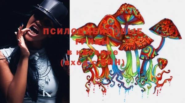 мяу мяу мука Армянск